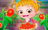 Baby hazel tomato farming