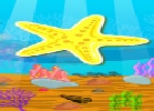 Finding Star Fish 