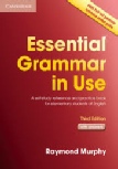 Essential Grammer in use(third edition)